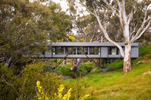 Bridge House by Max Pritchard Architect